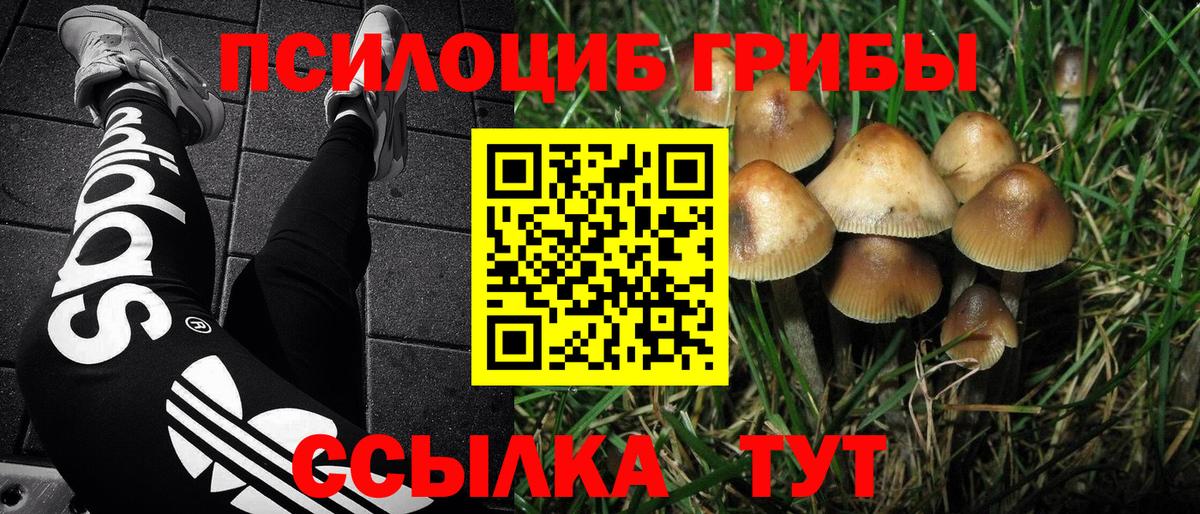 Псилоцибиновые грибы мицелий  Вход с VPN  Дюртюли 